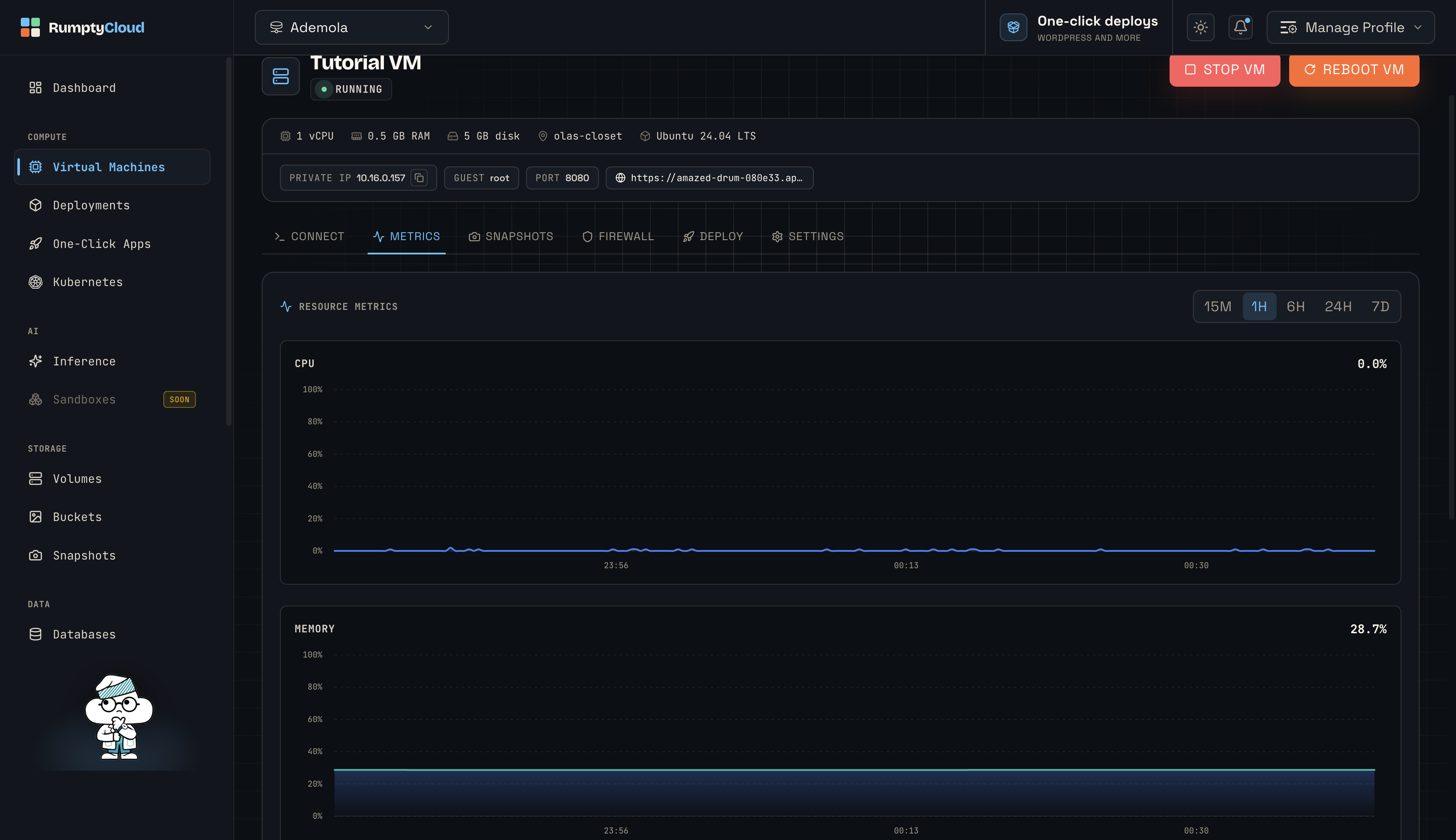 The Metrics tab, with live charts for the VM