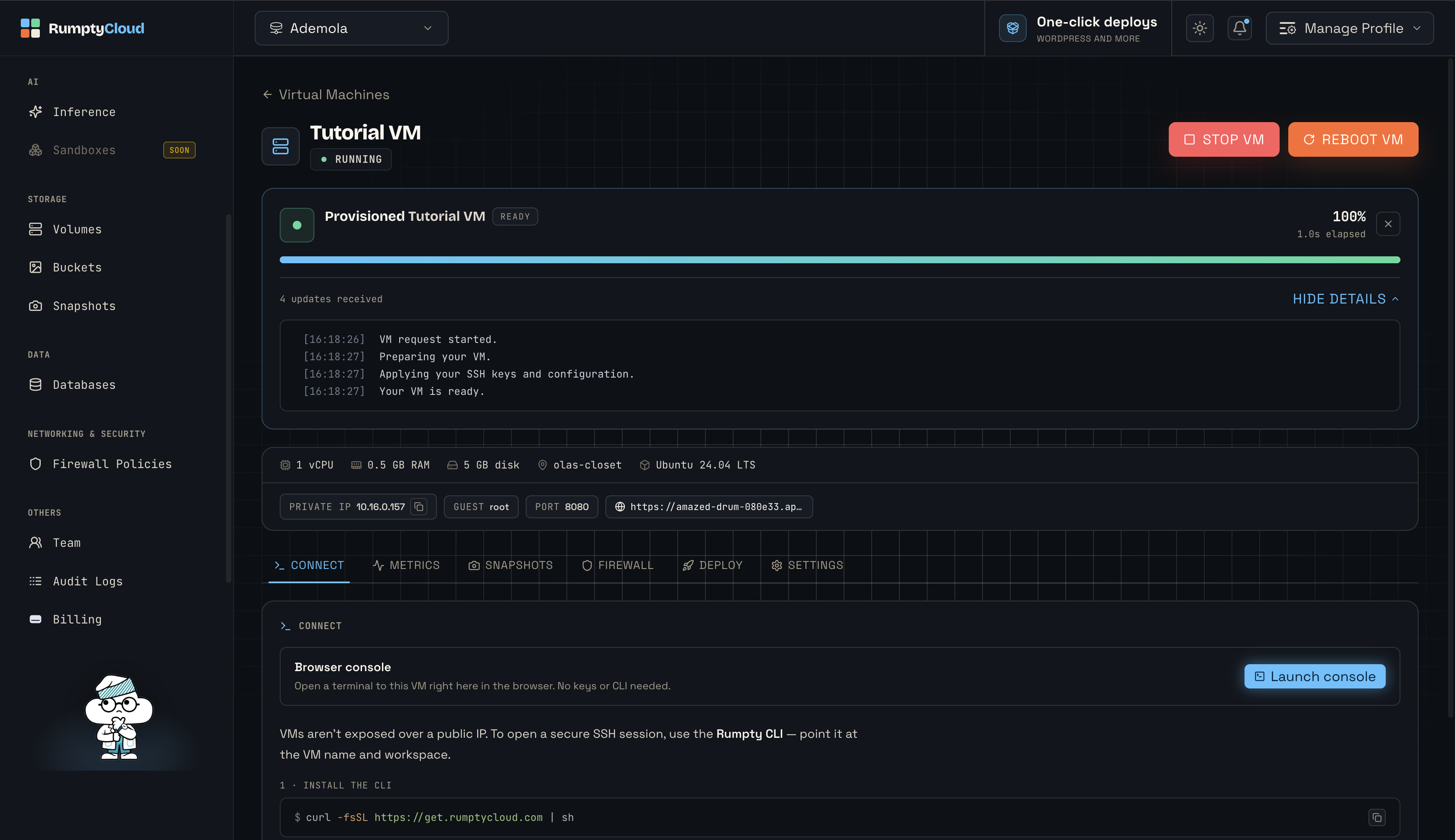 The VM detail page during provisioning, with the progress panel and step log