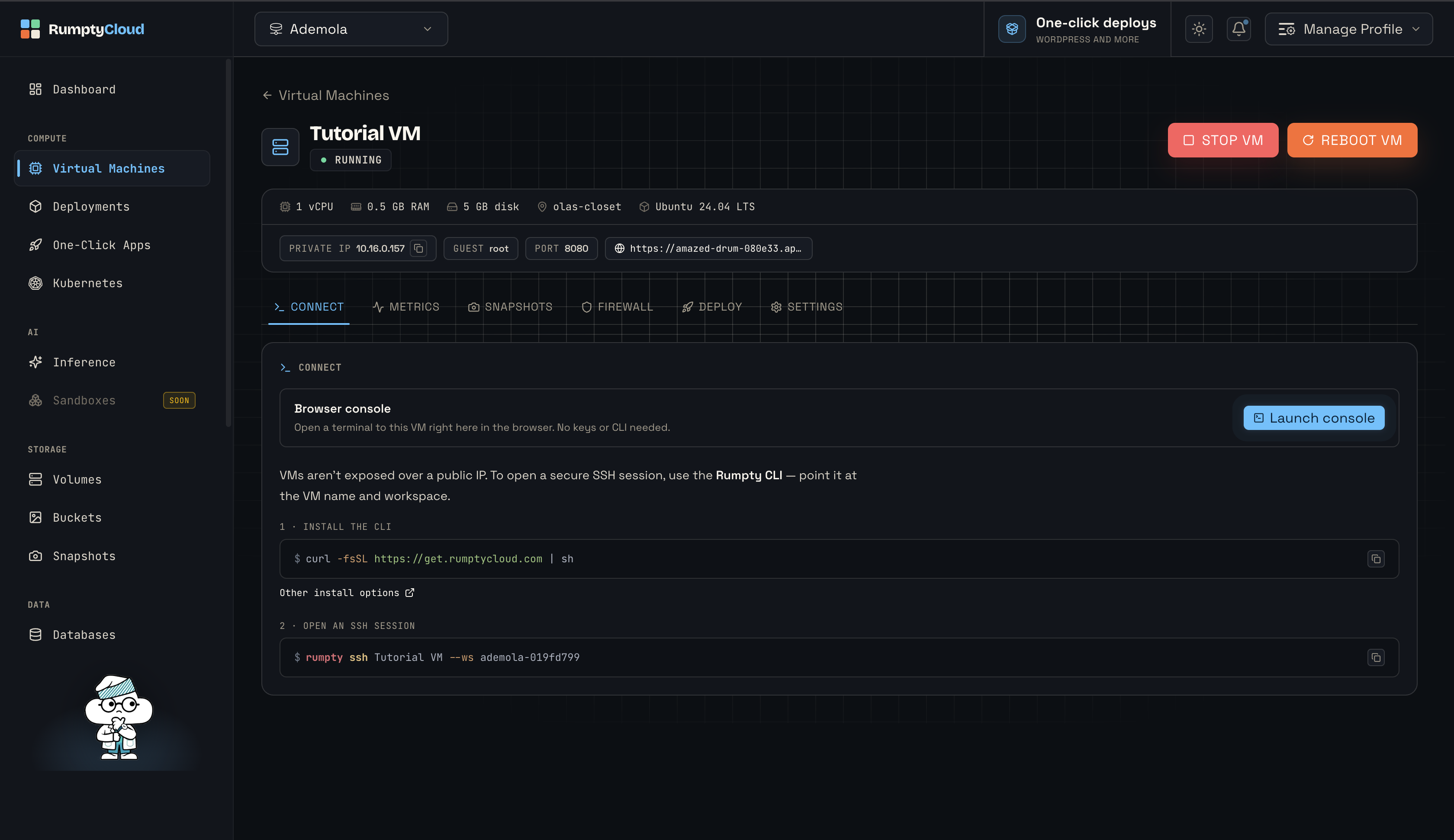 The VM detail page with the Connect tab open, showing the spec summary and connection options