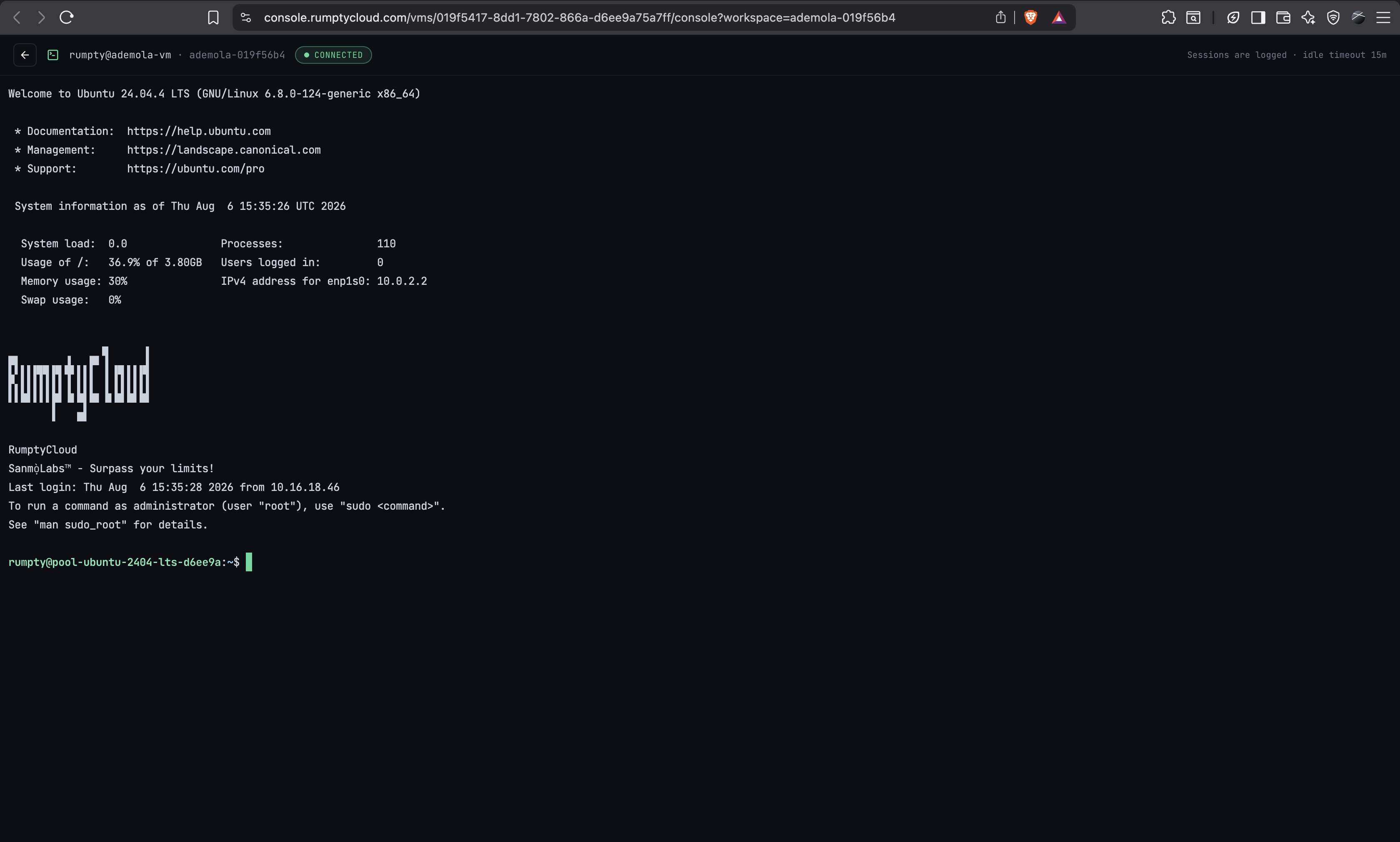 The browser console, an SSH terminal to the VM running inside a browser tab