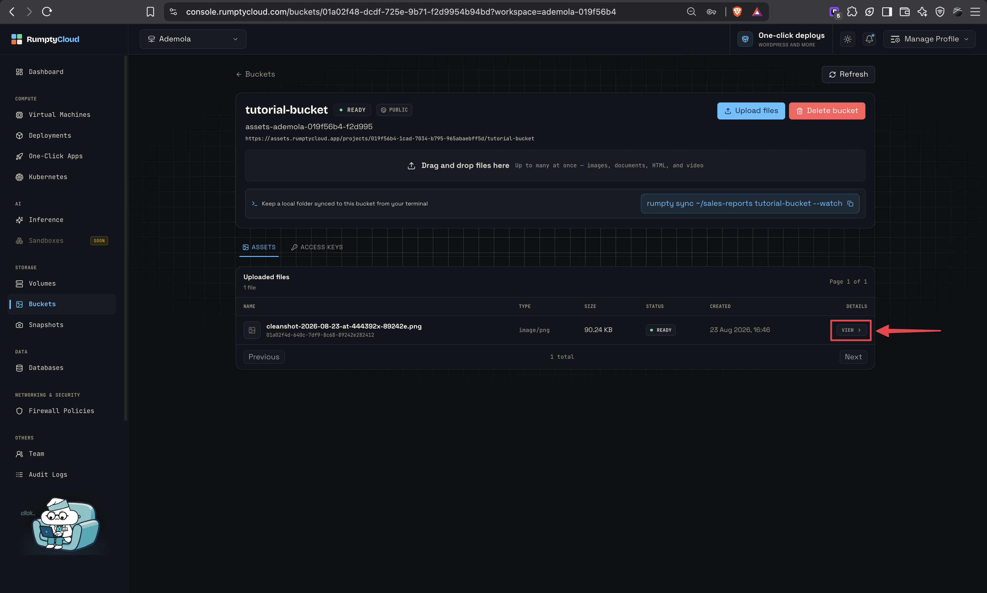 The Assets tab with an uploaded PNG and the VIEW action