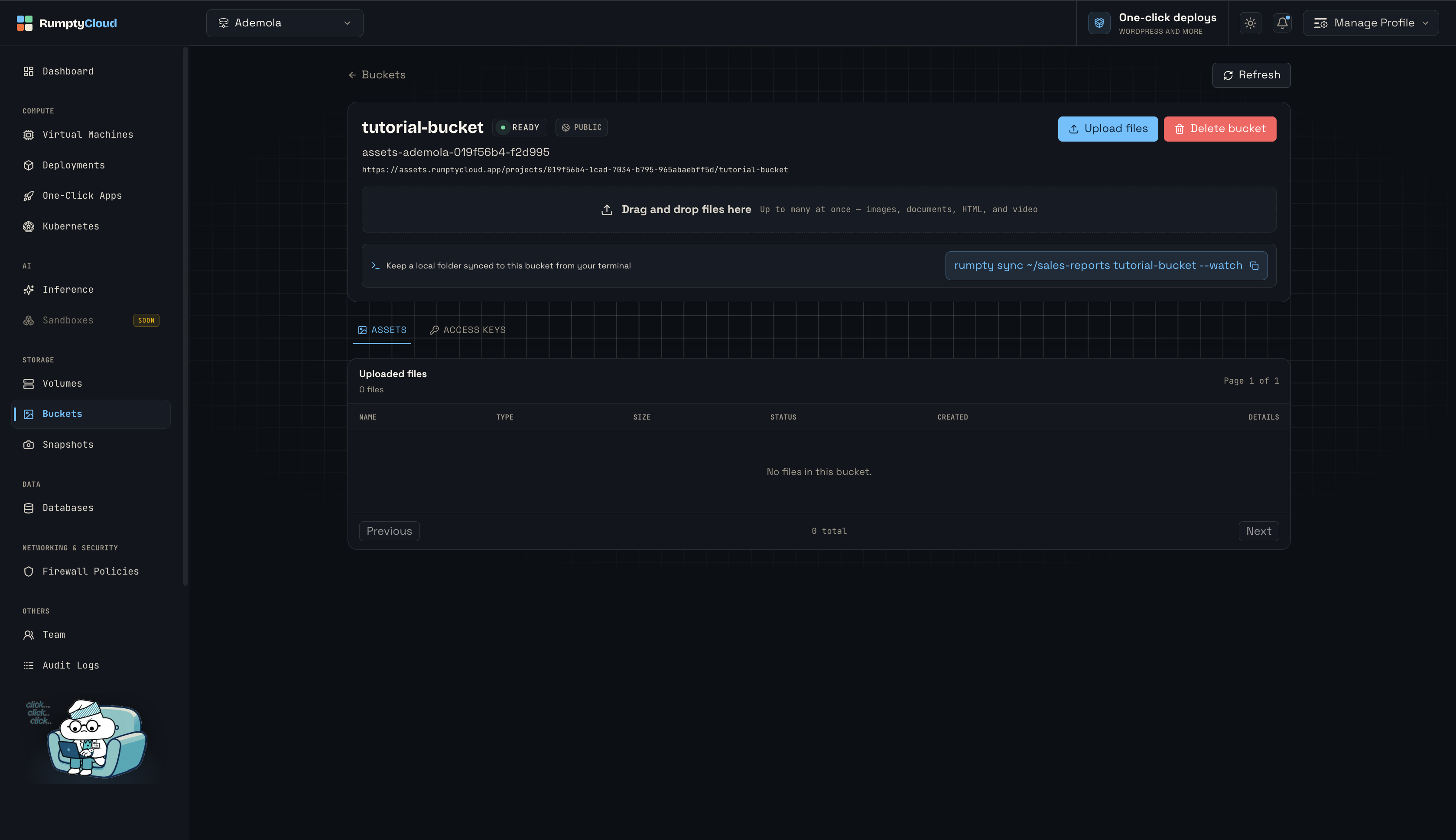 The tutorial-bucket detail page, with READY and PUBLIC badges, public URL, drag-and-drop upload, and an empty Assets table