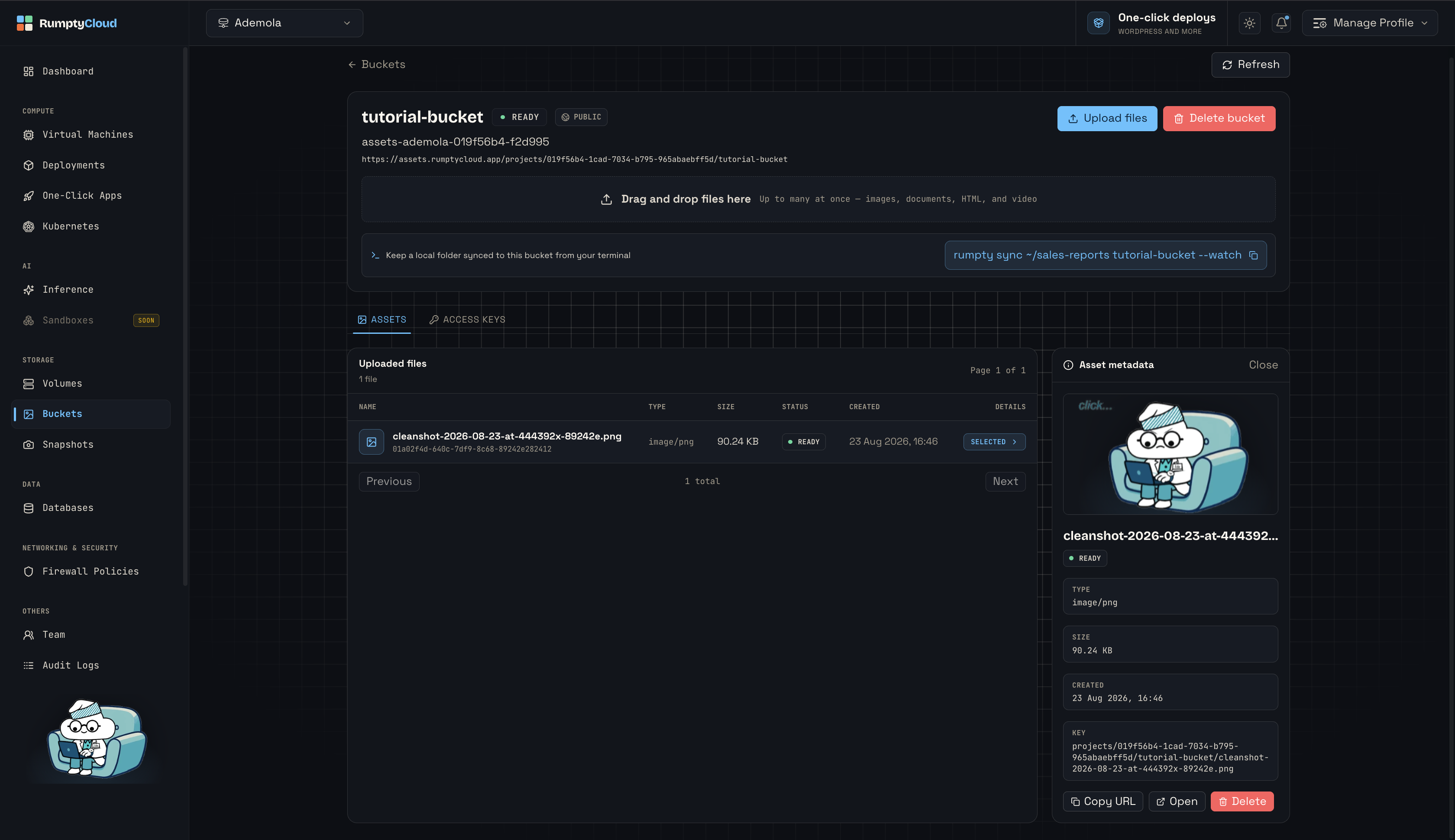 The Asset metadata panel, with preview, Copy URL, Open, and Delete